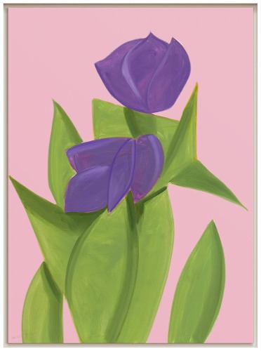 Purple Tulips 2